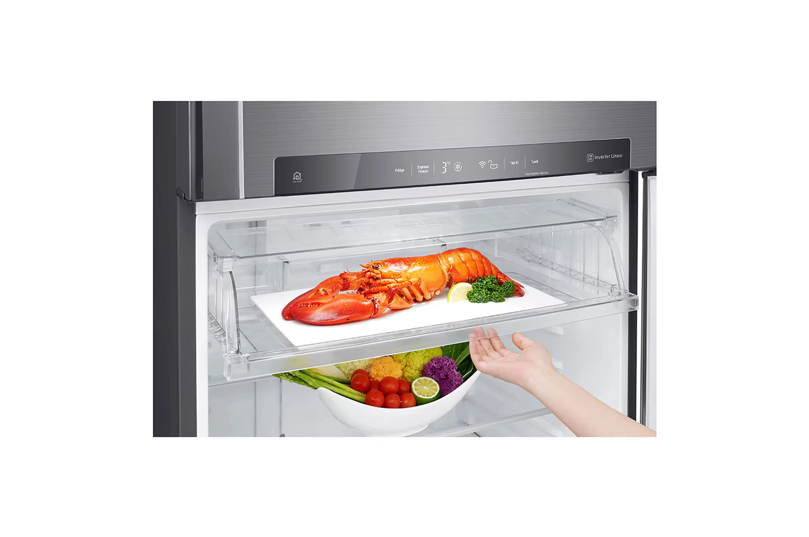 LG 592L Double Door Refrigerator GR-H842HL (11)